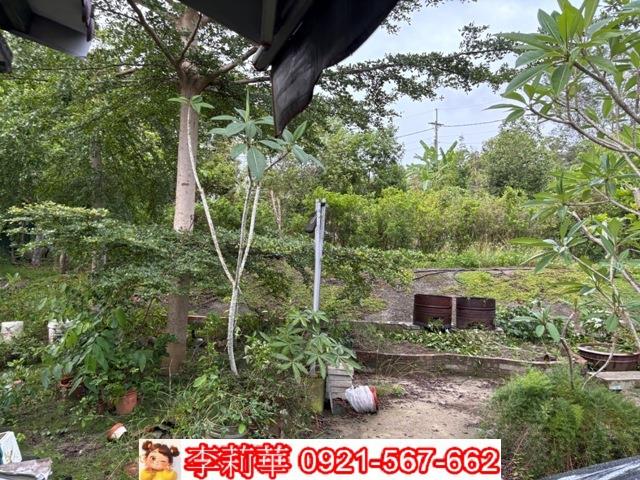 高雄杉林農地-7