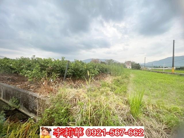 高雄杉林農地-4