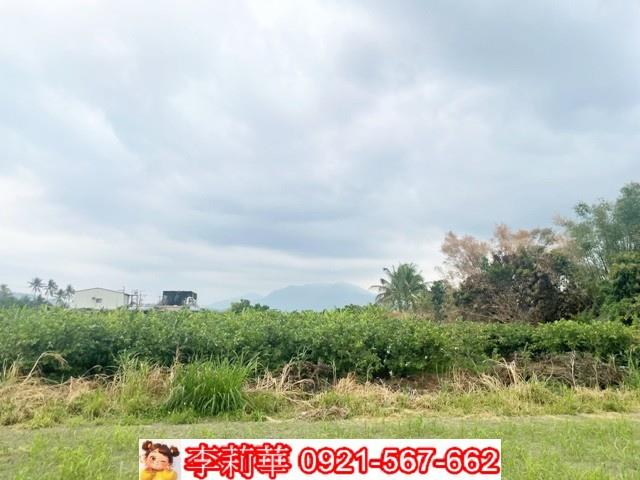 高雄杉林農地-8