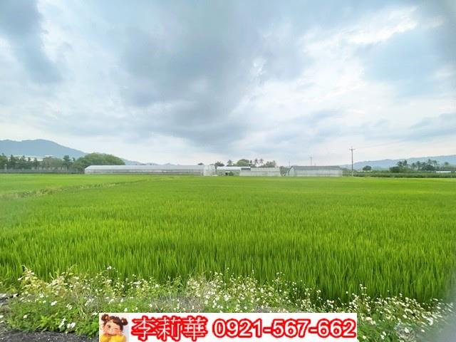 高雄杉林農地-9