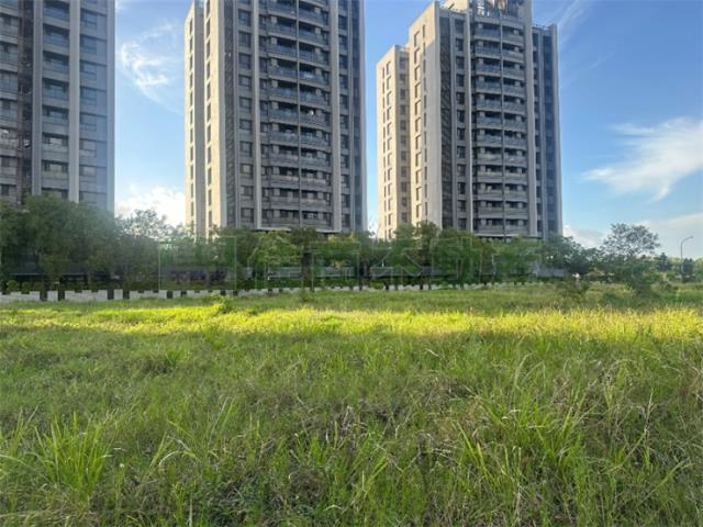 高雄橋頭建地-1