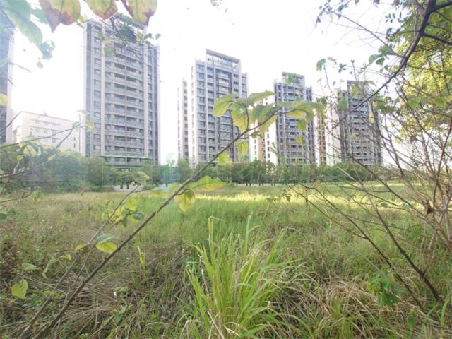 高雄橋頭建地-6