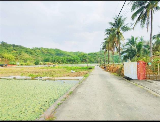高雄美濃農地-3