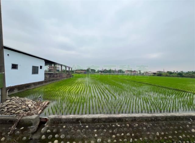 高雄美濃農地-5