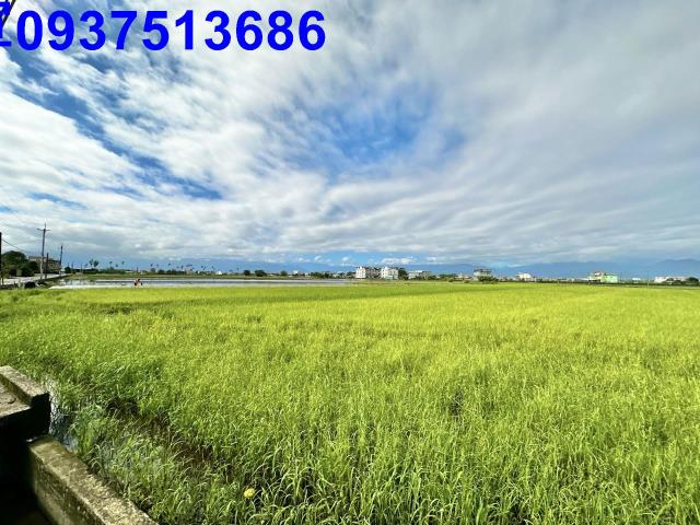 宜蘭壯圍農地-2