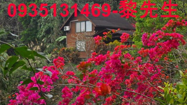 北埔農地-1