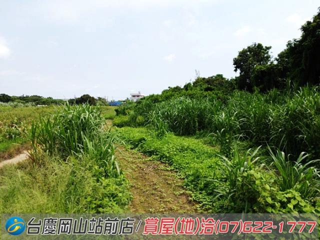 高雄農地-6