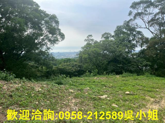 苗栗山坡地-3
