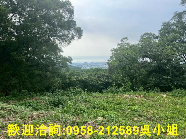 苗栗山坡地-4