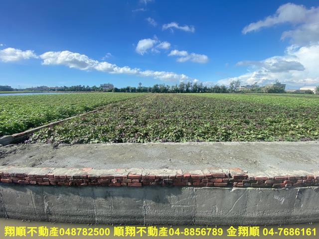 彰化農地-4