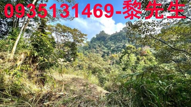 新竹橫山農地-12