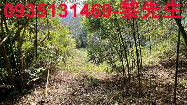 新竹橫山農地-6