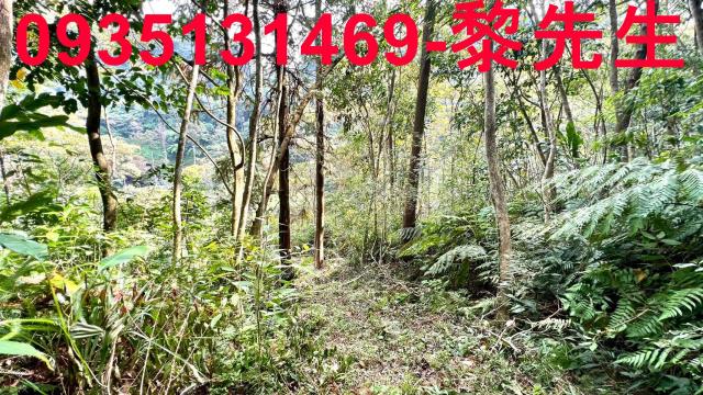新竹橫山農地-7