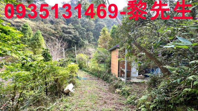 新竹橫山農地-9