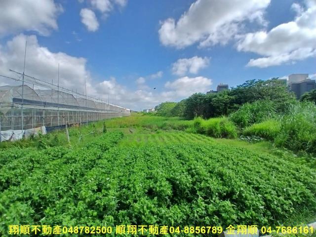 彰化埔鹽農地-1