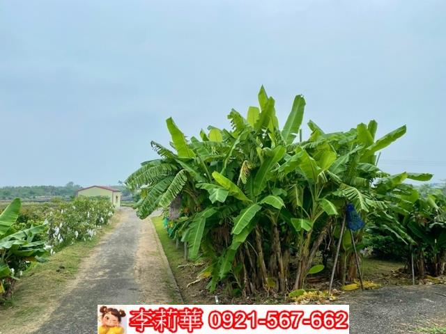 台南安南農地-1