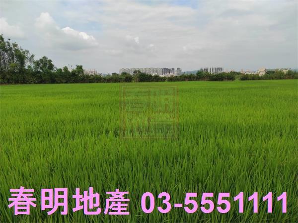 新竹竹東建地-4
