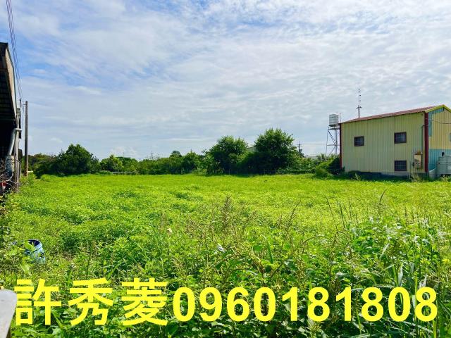 高雄路竹農地-11