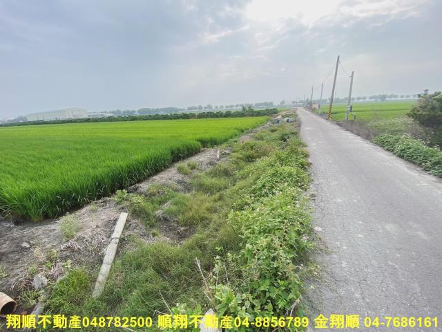 二林農地-2