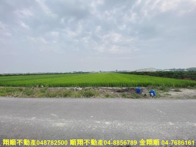 二林農地-3
