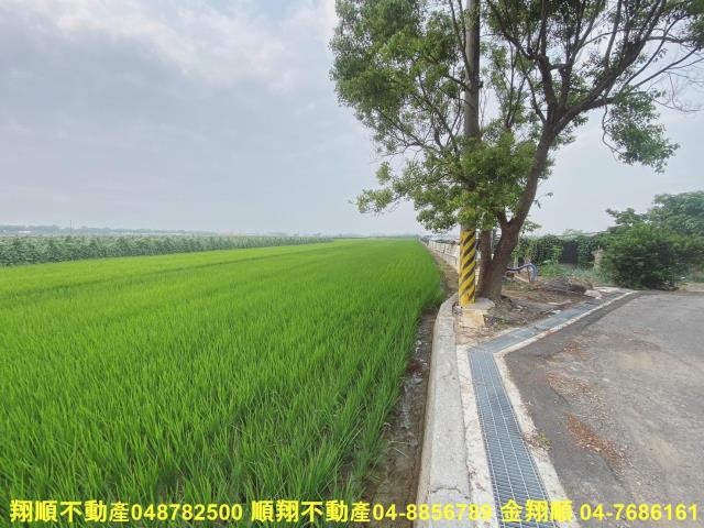 二林農地-4