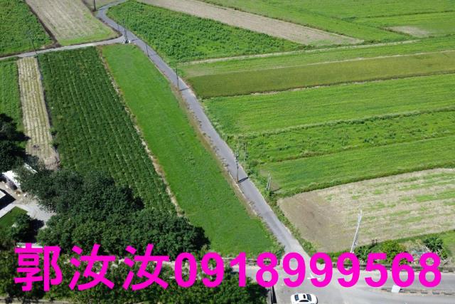 仁德農地-7