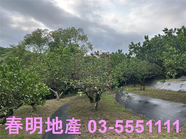 峨眉農地-10