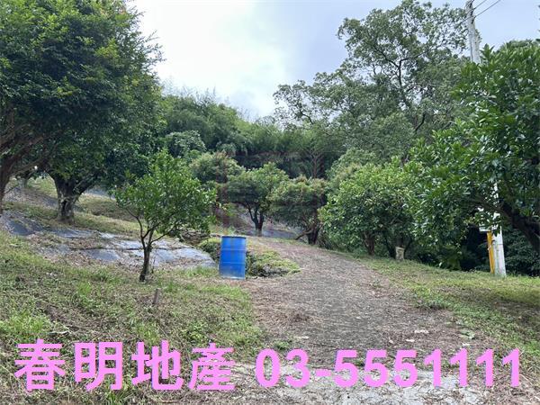 峨眉農地-11