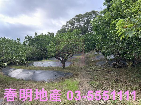 峨眉農地-2