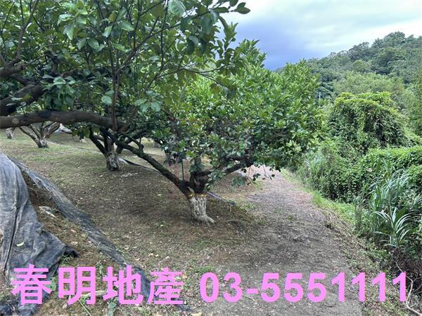 峨眉農地-5