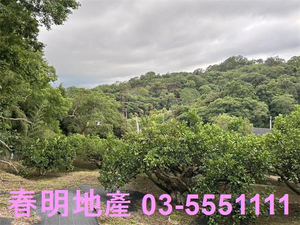 峨眉農地-6
