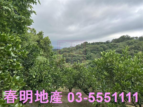 峨眉農地-8