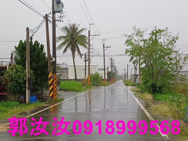 歸仁農地-6