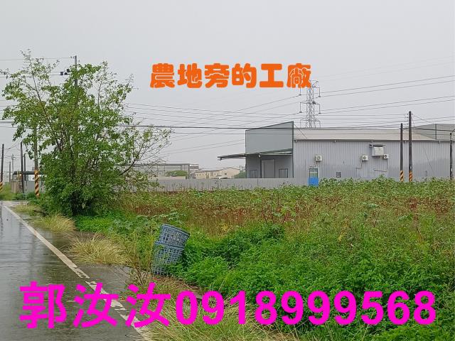 歸仁農地-8