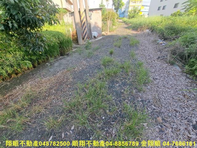 埤頭農地-4