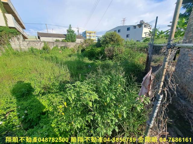 埤頭農地-6