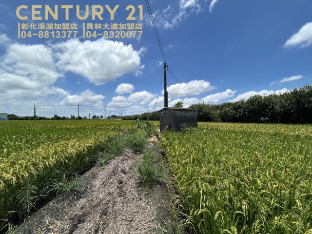 埤頭農地-6