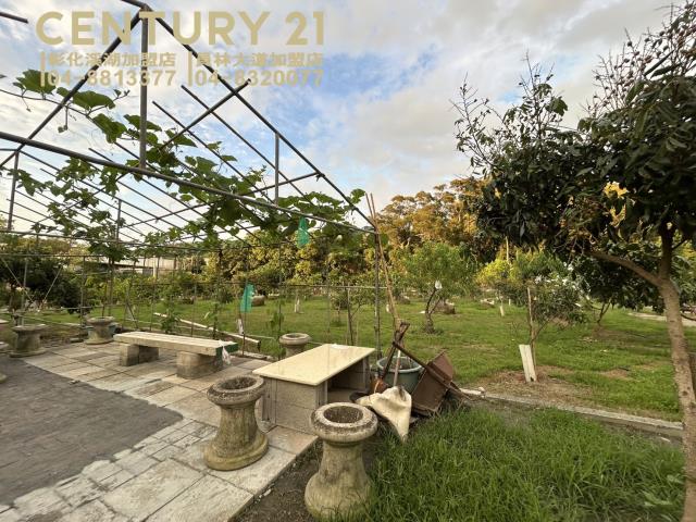 員林農地-5