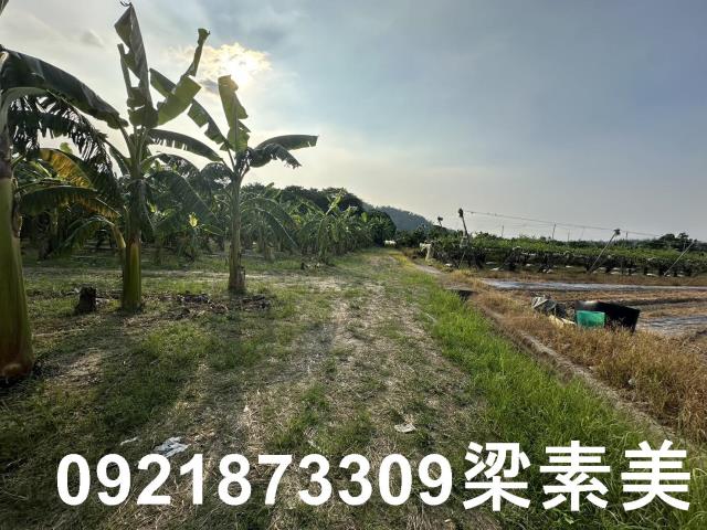 玉井農地-2
