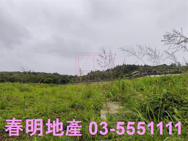 新豐建地-2