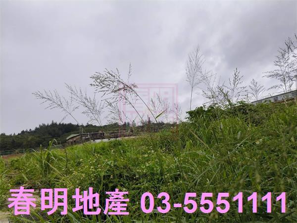 新豐建地-4