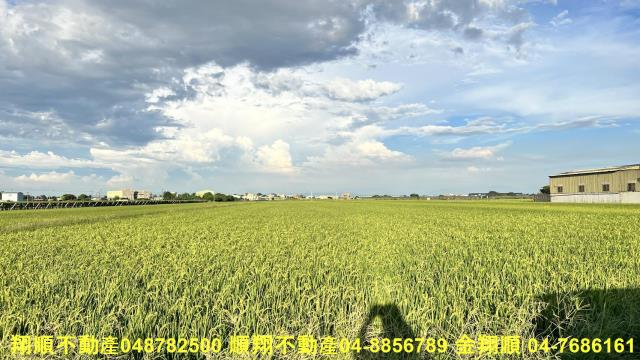 彰化農地-7