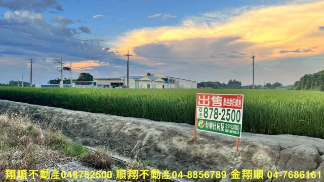 彰化芳苑農地-1