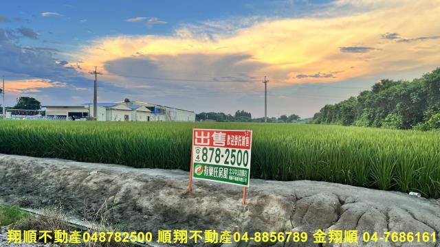 彰化芳苑農地-2