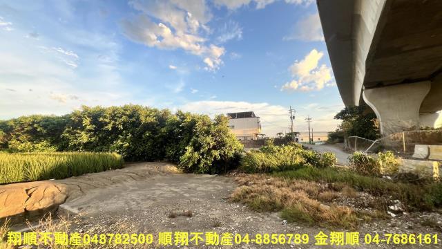 彰化芳苑農地-3