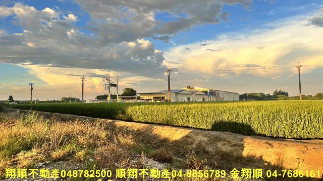 彰化芳苑農地-4