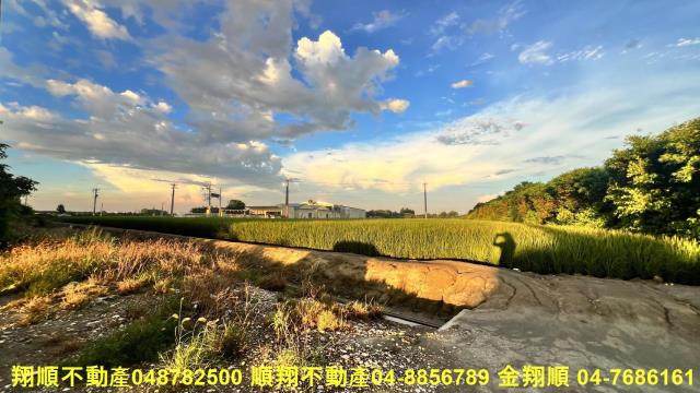 彰化芳苑農地-5