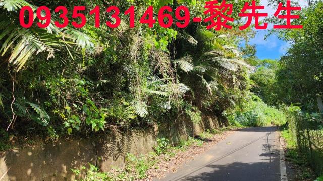 新竹芎林林地-1