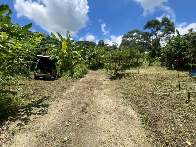 台中霧峰農地-9