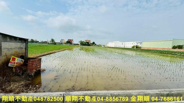 埔鹽農地-4